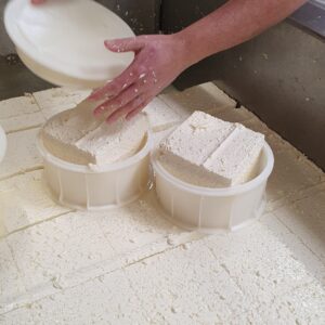 Titre à finalité professionnelle Fromager par apprentissage