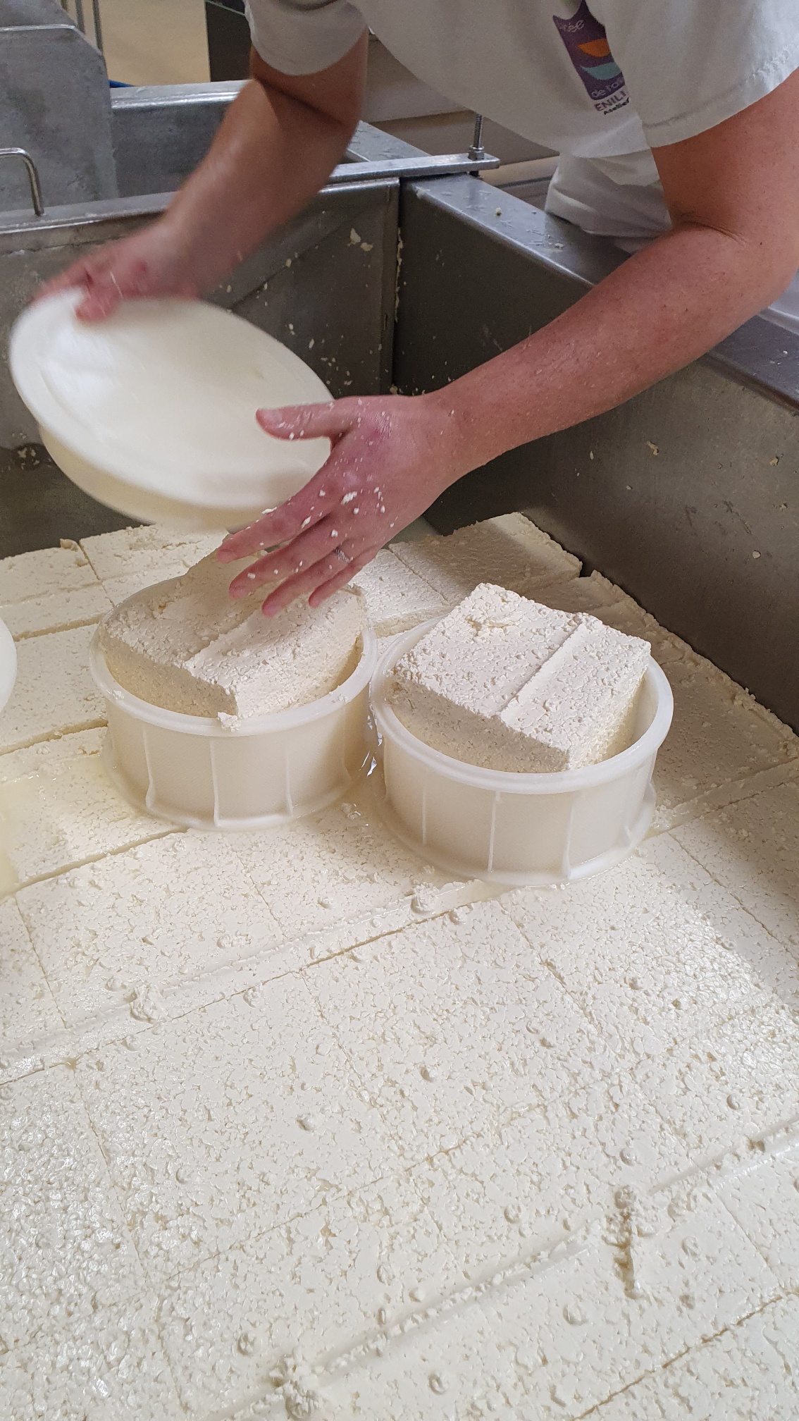 Titre à finalité professionnelle Fromager par apprentissage